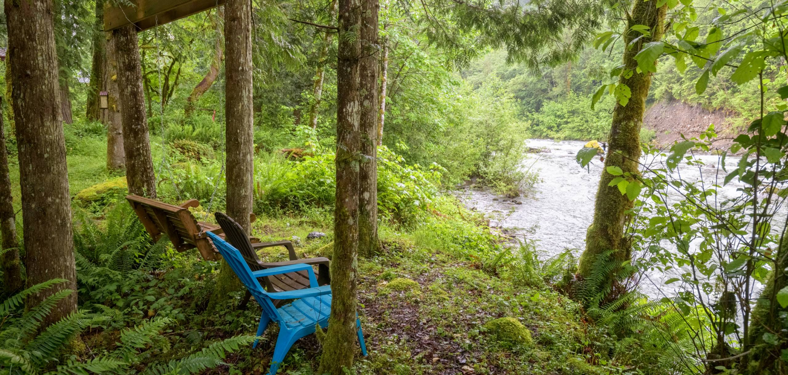 Coxy Cabin on the Sandy River Nestled along the Sandy River