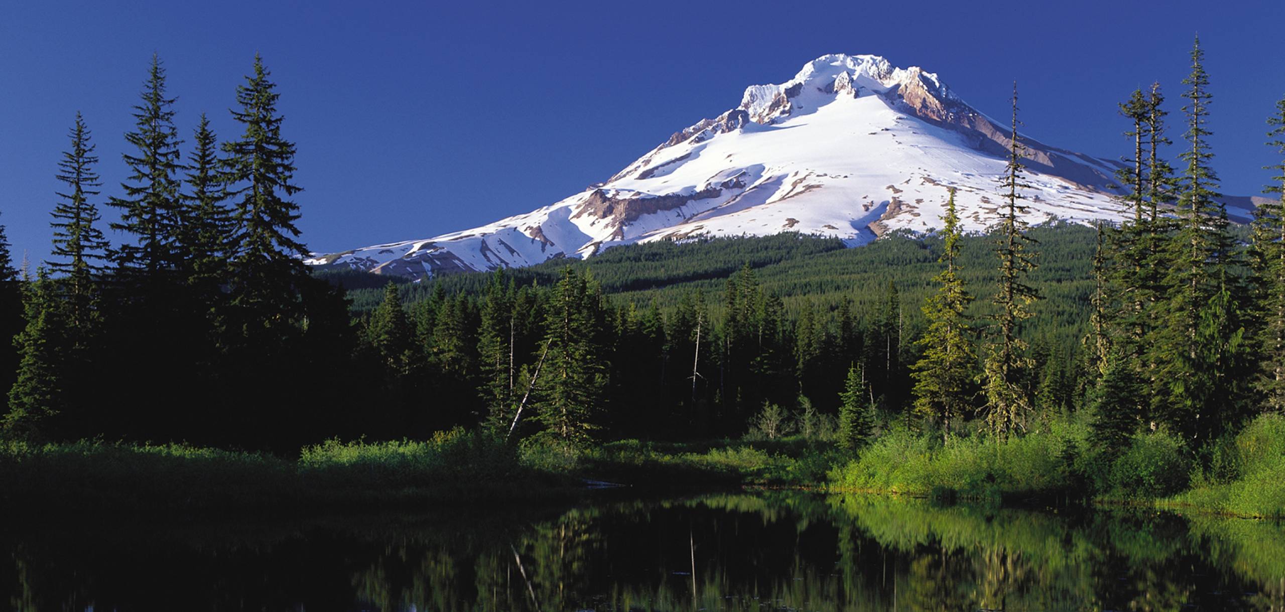 Vacation Rentals In Mt Hood All Seasons Vacation Rentals